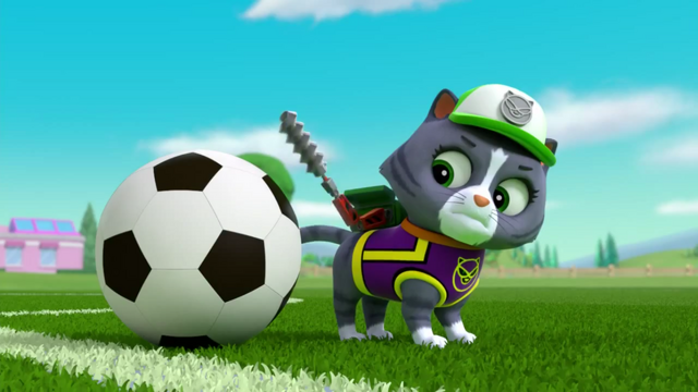 File:Pups Soccer 45.png