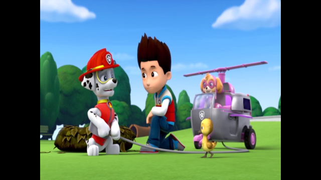 File:Pp1129.png