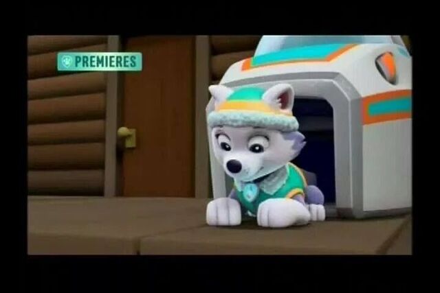 File:PAW patrol Everest.jpg
