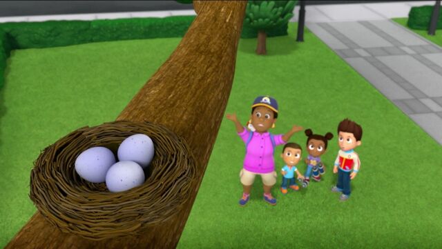 File:PAW Patrol Pups Save the Songbirds Scene 17.jpg