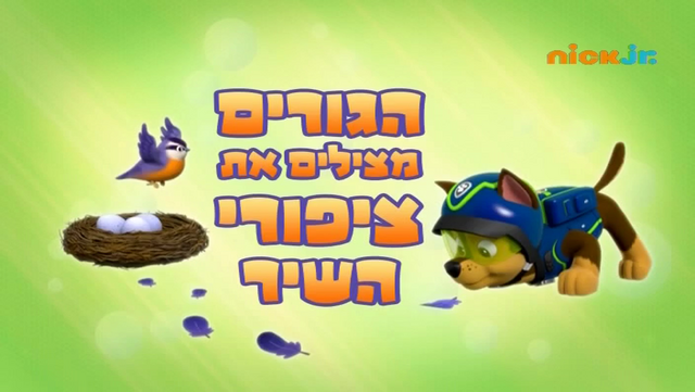 File:מפרץ ההרפתקאות הגורים מצילים את ציפורי השיר.png