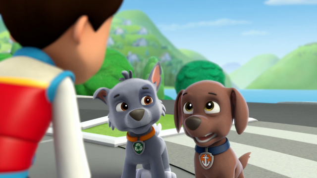 File:Pp864.png
