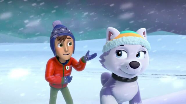 File:PAW.Patrol.S02E07.The.New.Pup.720p.WEBRip.x264.AAC 450050.jpg