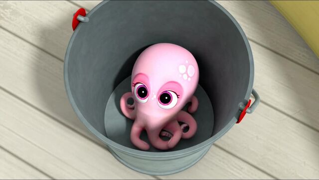File:Baby Octopus 40.jpg
