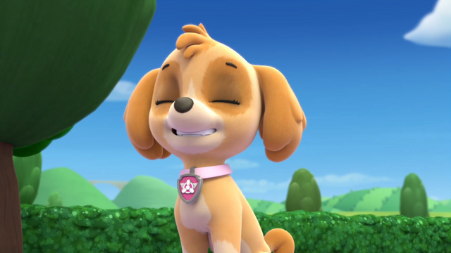 File:Pp876.png