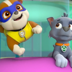 paw patrol super pup rocky