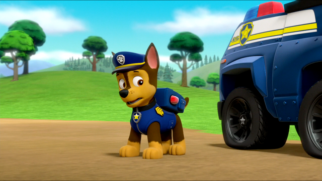 File:PP 41.png