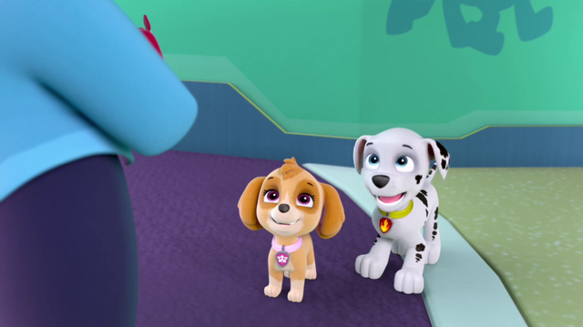 File:Vlcsnap-2014-05-17-09h16m06s89.png