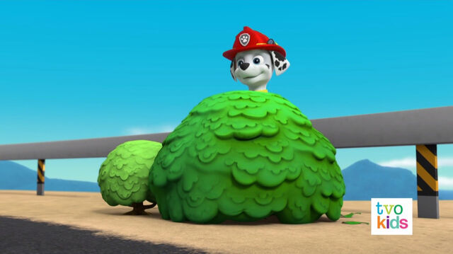 File:PAW Patrol Pups Save a Flying Kitty 19.jpg