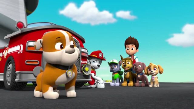 File:PAW Patrol Season 2 Episode 10 Pups Save a Talent Show - Pups Save the Corn Roast 230297.jpg