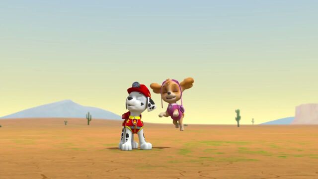 File:PAW.Patrol.S02E07.The.New.Pup.720p.WEBRip.x264.AAC 52986.jpg