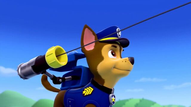 File:Chase'sNetCannon.jpg