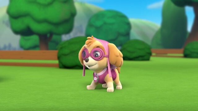 File:PAW.Patrol.S01E21.Pups.Save.the.Easter.Egg.Hunt.720p.WEBRip.x264.AAC 107307.jpg