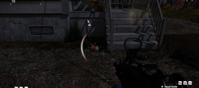File:Rats1-07.jpg