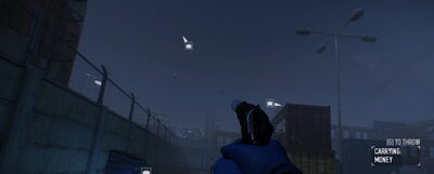 FlyingGuard