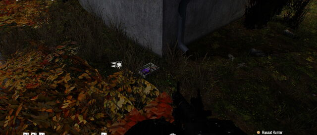 File:Rats1-10.jpg