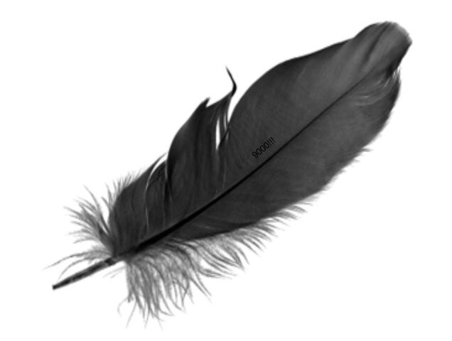 File:Untitled drawing (21).jpg