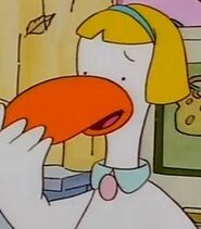Shirley Duck