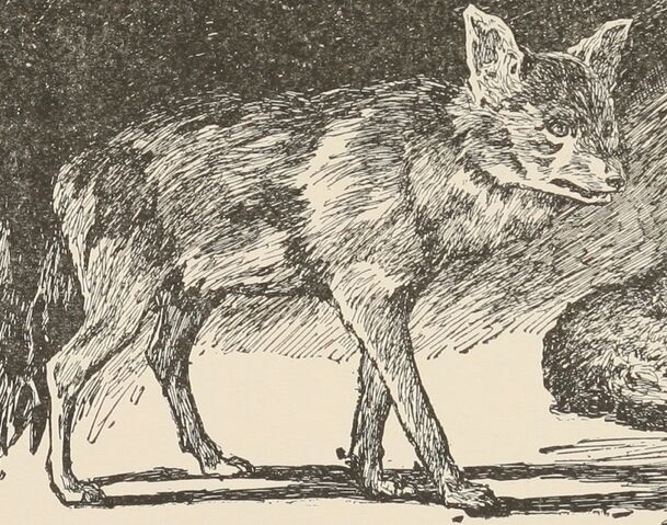 File:Raksha.jpg