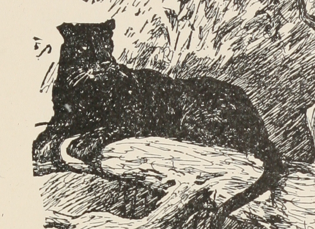 File:Bagheera.png