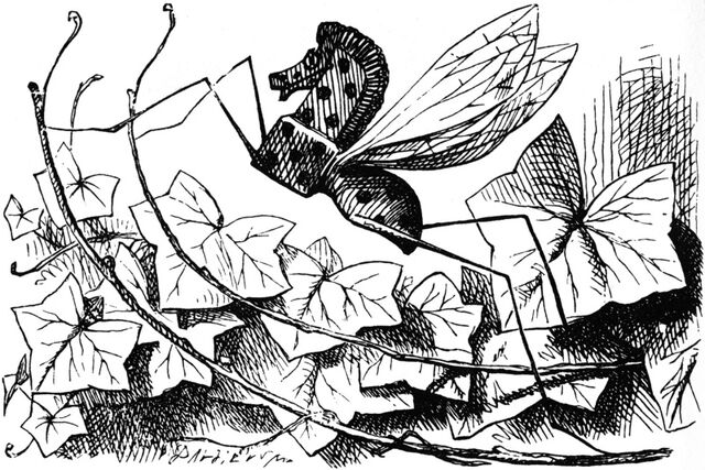 File:Rocking horse fly.jpg