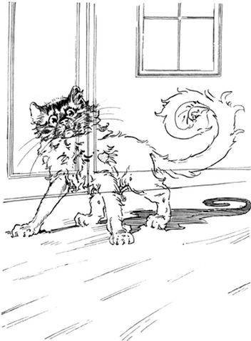 File:GlassCat.png