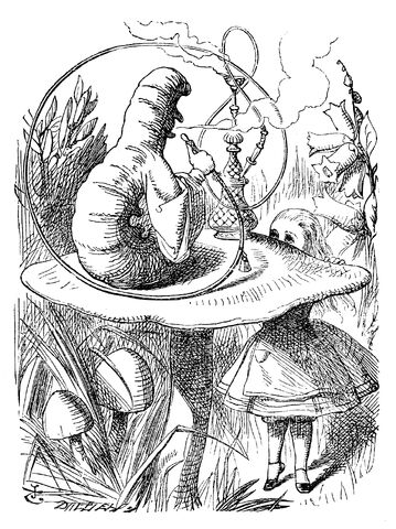 File:Caterpillar.jpg