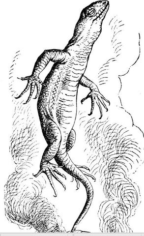 File:BillLizard.jpg