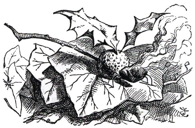 File:Snap-dragon-fly.jpg