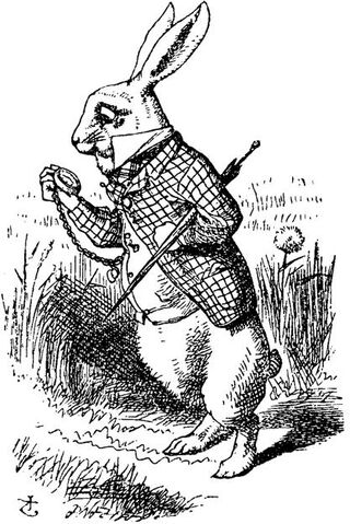 File:WhiteRabbit.jpg