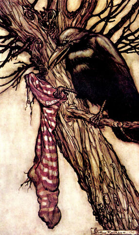 File:SolomonCaw.jpg