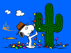 Castjoecactus-1-