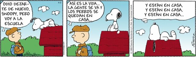 Archivo:Imagexdgwrwrw.jpg