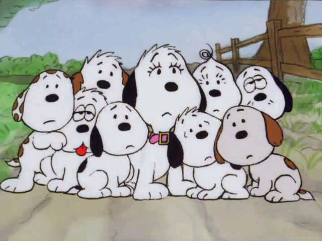 File:Snoopy Siblings (37).jpg
