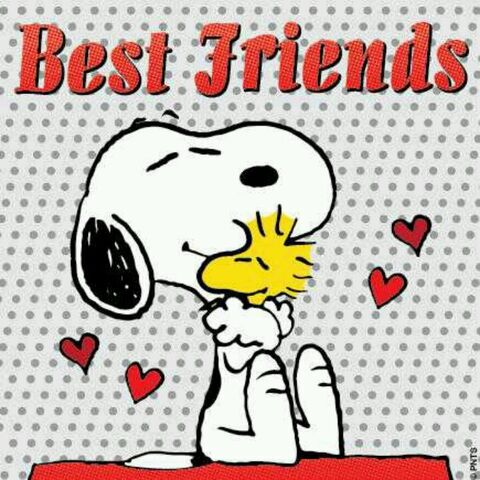 File:The Best Friends.jpg