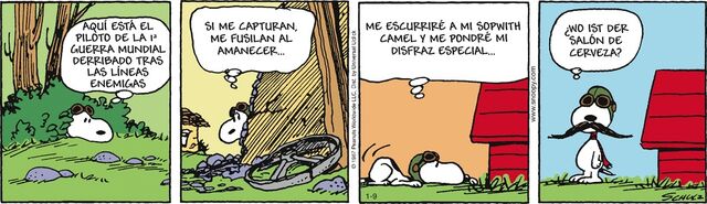 Archivo:Ftfereeeimage.jpg