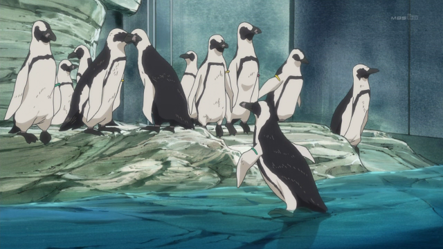 File:Real penguins.png