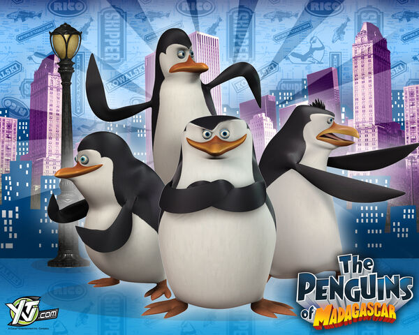 File:Penguins4.jpg