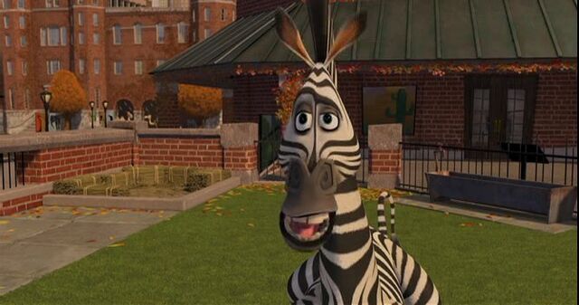 File:Zebra 10.jpg