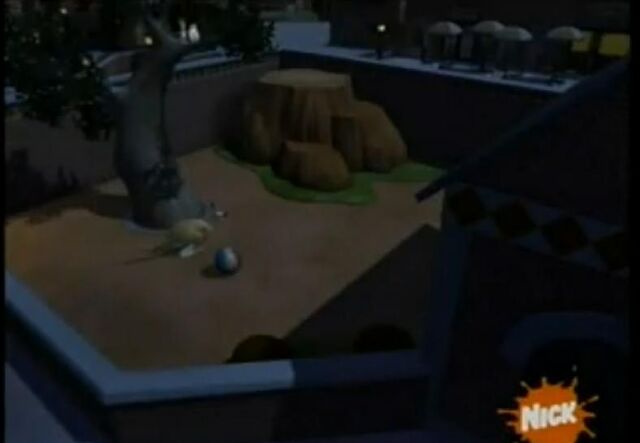 File:Joey's Habitat 02.jpg
