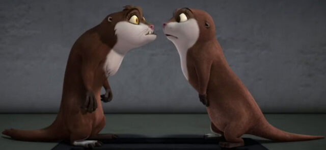 File:They facing each other.jpeg