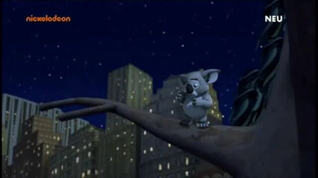 File:Koala 1.jpg