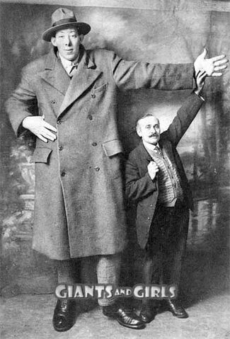 Файл:Ferdinand contat02.jpg