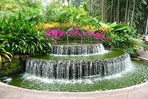 Singapore-botanic-garden