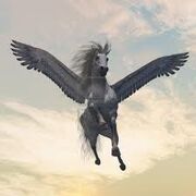 Pegasus.jpg