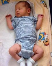 Siry Baby