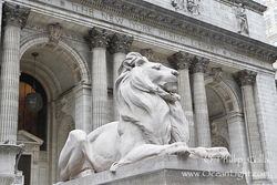 León