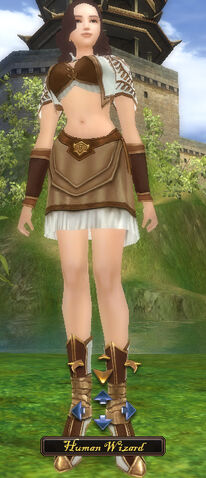 File:FHumWizard.jpg