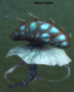 Nirvana Jellyfish