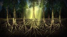 Les-plantes-communiquent-1-1024x574.jpg